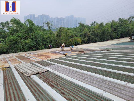DỰ ÁN CẢI TẠO NHÀ XƯỞNG TẠI HOÀI ĐỨC - HÀ NỘI z3829735675040 126e2be0fda89d5991a1f4af30a069b9 1 533x400 - DỰ ÁN CẢI TẠO NHÀ XƯỞNG TẠI HOÀI ĐỨC - HÀ NỘI